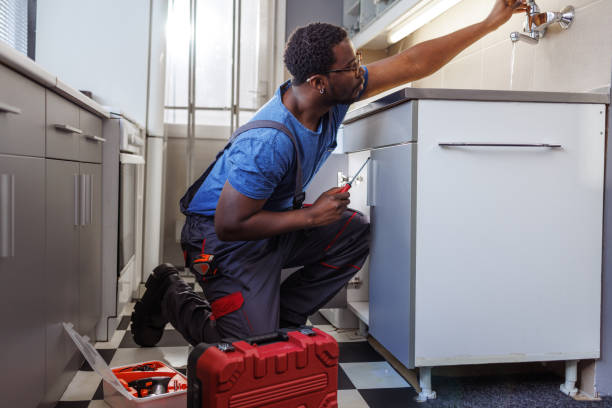 Best Commercial Plumbing Services  in Ecorse, MI